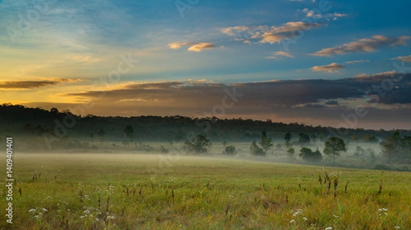 Fototapeta A misty field at dawn with soft light illuminating the grass and trees under a dramatic sky, creating a peaceful and atmospheric morning landscape.