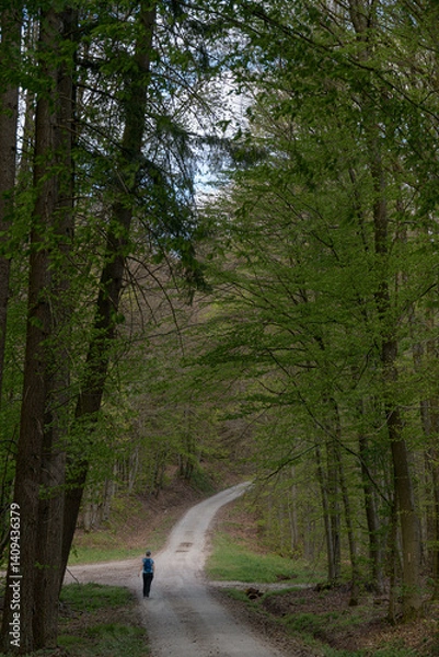 Obraz promeneuse dans le paysage forestier