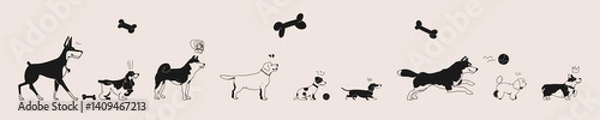 Obraz Funny black and white illustration featuring various dog breeds in playful and expressive poses.  Minimalist style on a light background. Trendy vector illustration.