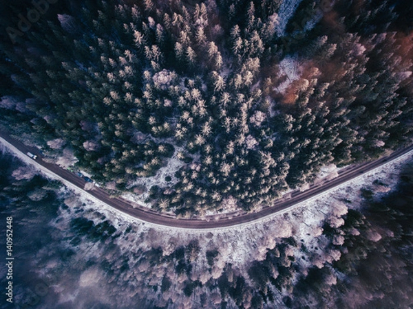 Obraz Above the forest