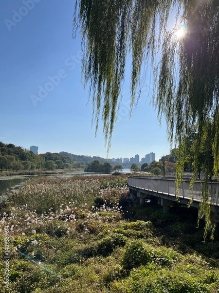 Obraz bridge over the lake