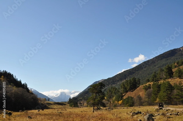 Obraz Mountain autumn landscape with colorful forest