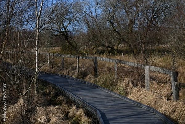 Fototapeta the walkway over the bog at cors caron in the sun 