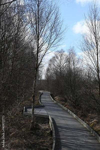 Obraz the walkway over the bog at cors caron in the sun 