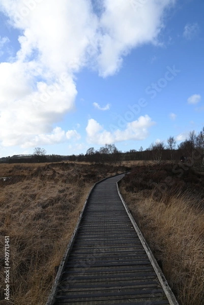 Obraz the walkway over the bog at cors caron in the sun 