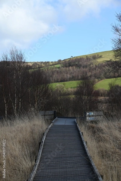 Obraz the walkway over the bog at cors caron in the sun 