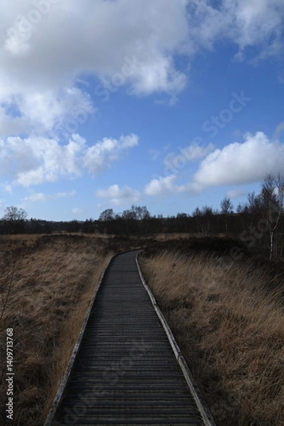 Obraz the walkway over the bog at cors caron in the sun 