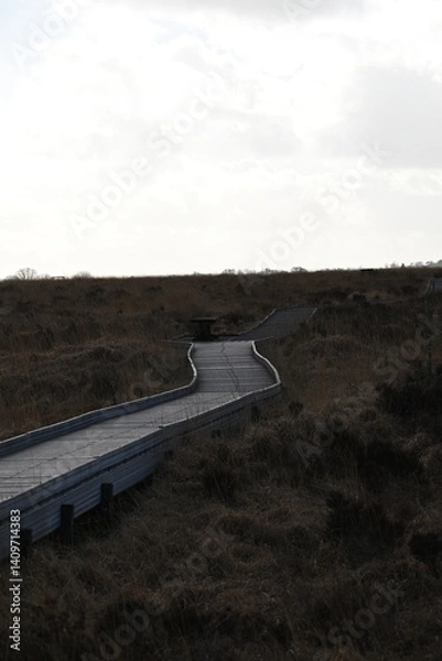 Obraz the walkway over the bog at cors caron in the sun 