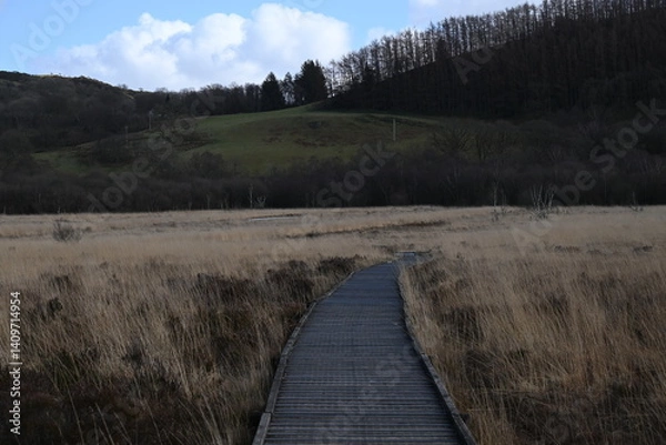 Obraz the walkway over the bog at cors caron in the sun 