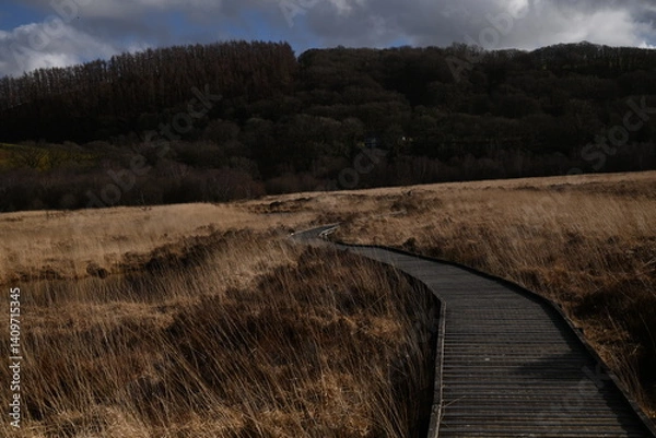 Obraz the walkway over the bog at cors caron in the sun 