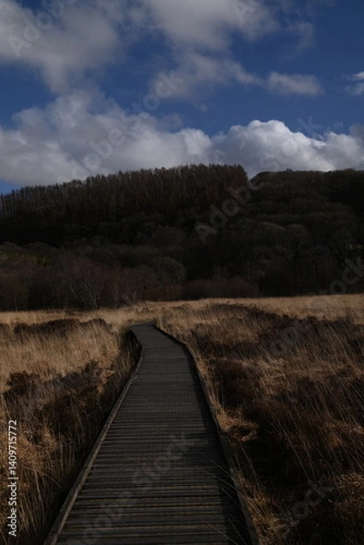 Obraz the walk over the bog at cors caron