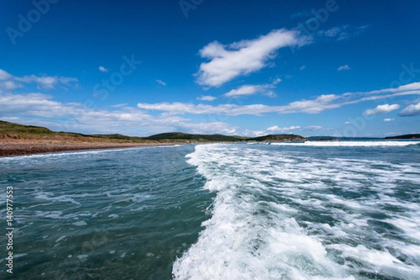 Fototapeta Waves on the coast.