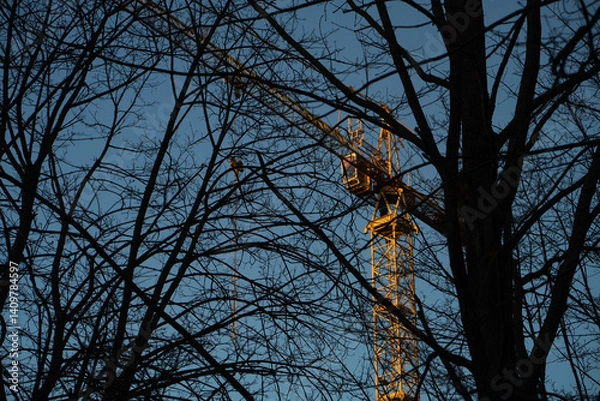 Fototapeta Human invasion of nature. Civilization displaces nature. View of tower crane through trees. Construction crane behind silhouettes of trees.