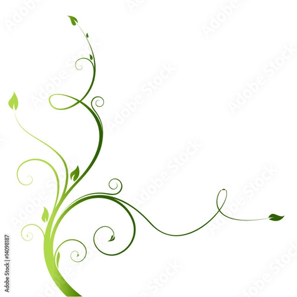 Obraz Floral design. Vector illustration
