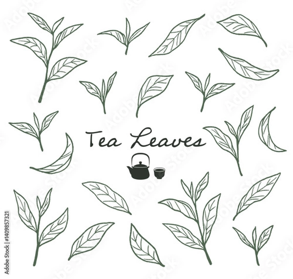 Obraz 抹茶、緑茶など、日本茶の茶葉の線画イラスト