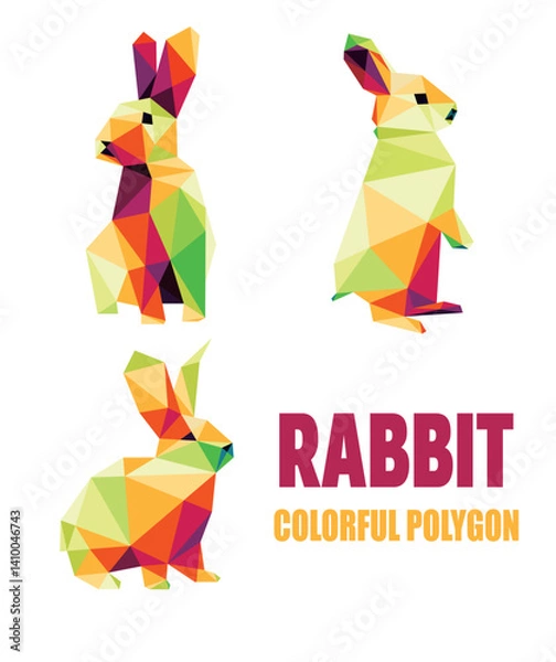 Fototapeta Rabbit Animal Set in Colorful Polygonal low poly. Rabbit Icon Colorful Origami. Vector of Rabbit collection