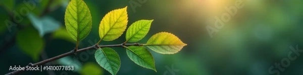 Fototapeta Two arrows on a branch with leaves contrasting each other, fork, decision