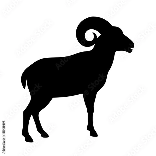 Obraz silhouette of a sheep