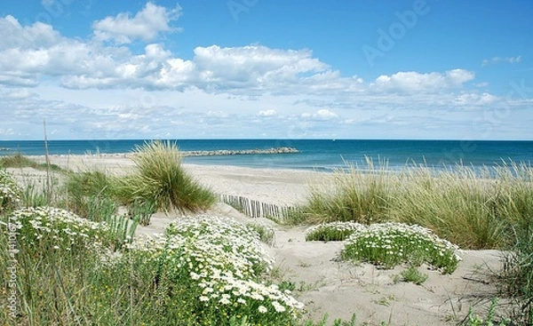 Obraz Plage au printemps 3