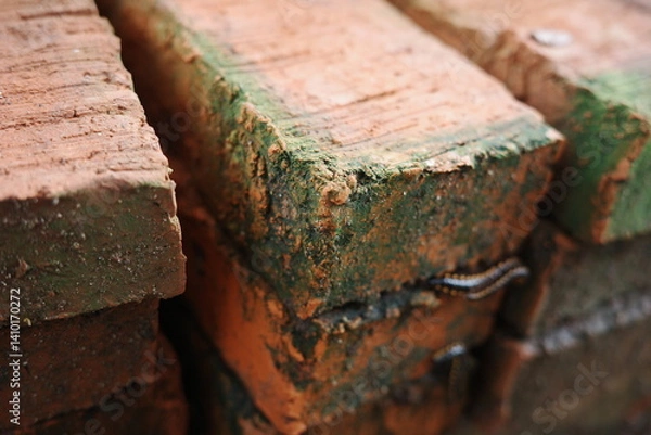 Obraz old brick wall