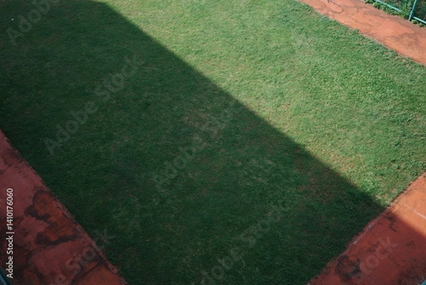 Obraz green grass field