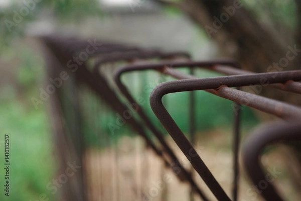 Obraz fence in the park