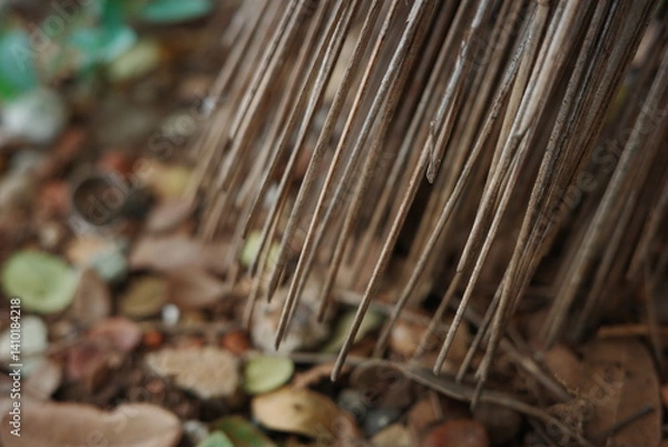 Obraz close up of a tree trunk