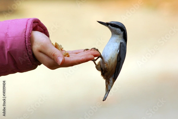 Fototapeta rare combination