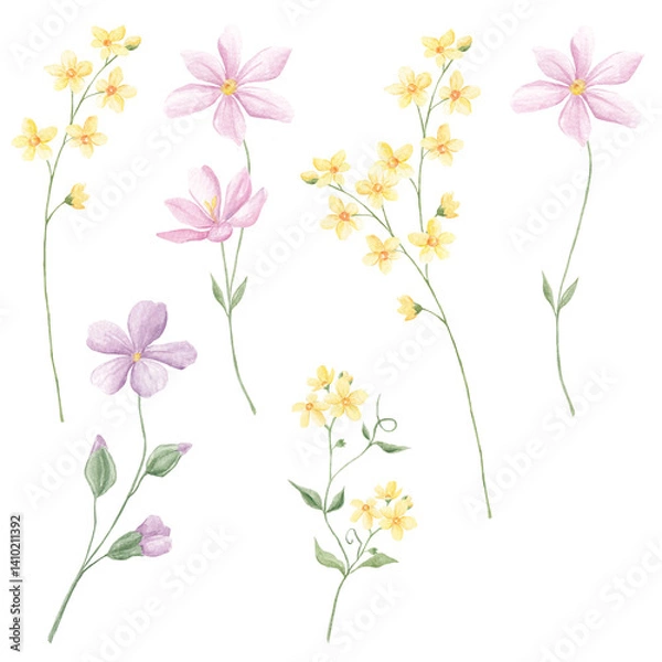 Fototapeta Forest Spring Florals, Meadow Clipart, Watercolor Birds, Butterflies, Garden Flowers, Baby Shower, Sublimation Elements, Tiny Flowers