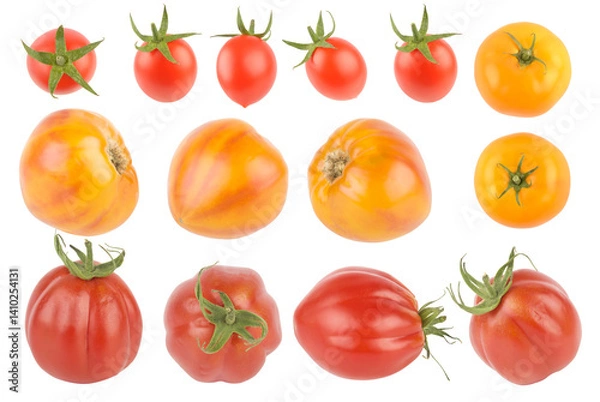 Obraz Fresh red and yellow tomatoes from different angles isolated on white
