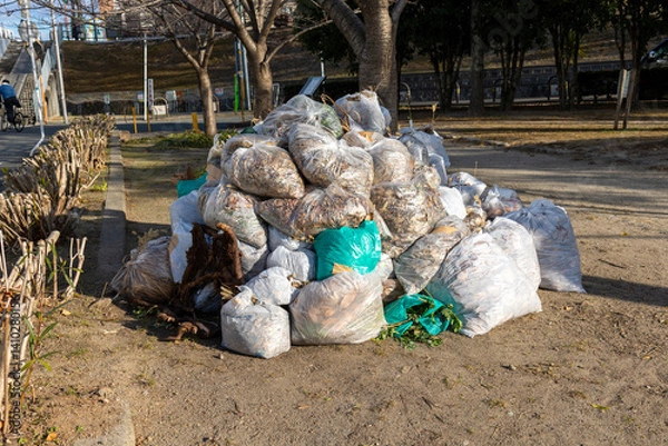 Fototapeta 公園の落ち葉を集めたゴミ袋