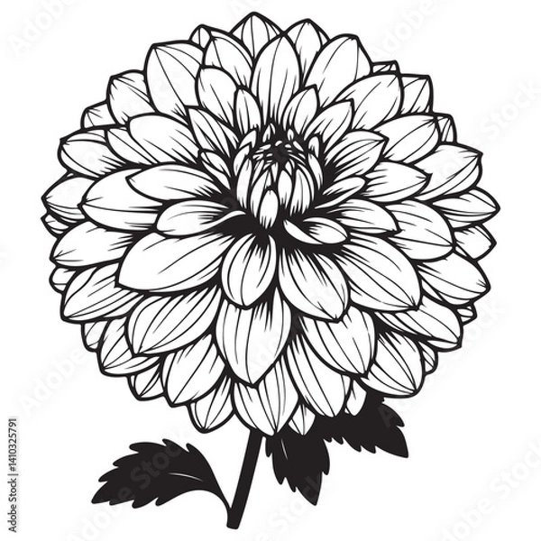Obraz black and white flower vector