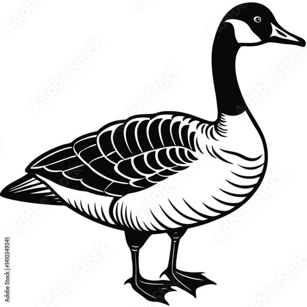 Obraz Canada Goose illustration flat vector design