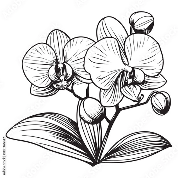 Obraz black and white flower vector