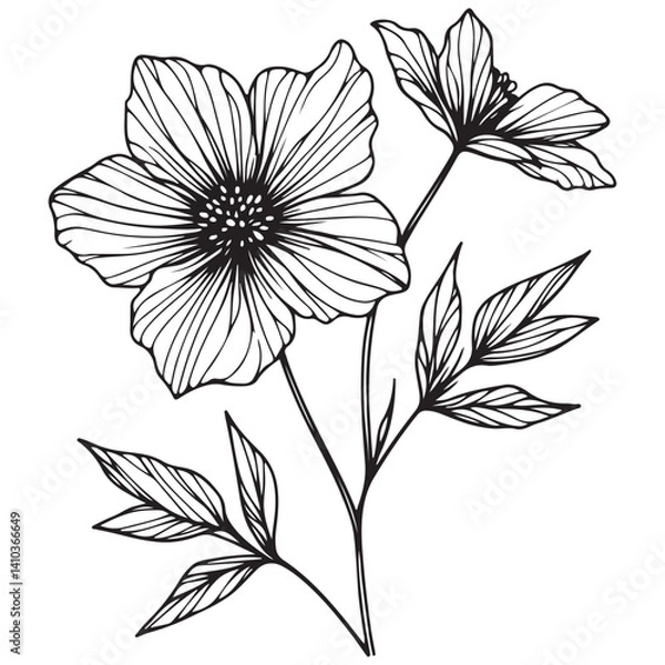 Obraz black and white flower vector