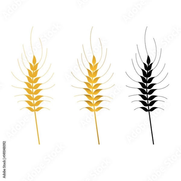 Obraz wheat vector isolated set