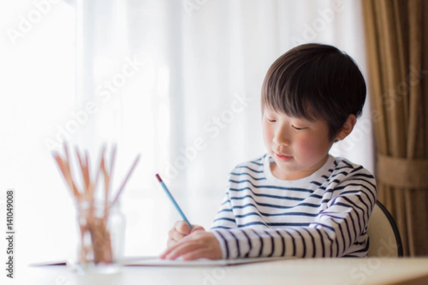 Fototapeta boy studying or doing home work