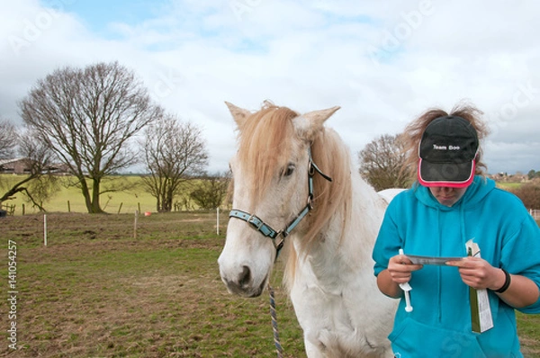 Fototapeta Owner reading the instructions before administering a wormer to her horse