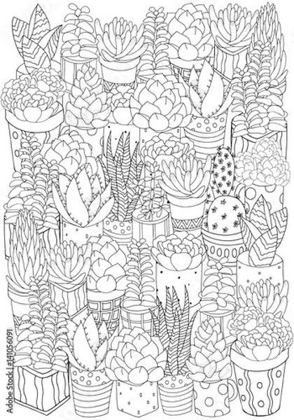 Fototapeta Hand drawn set of succulents, cactuses and pots.