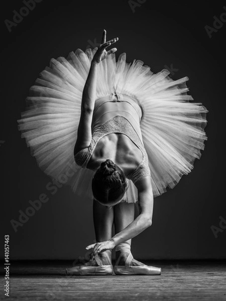 Obraz Young beautiful ballerina posing in studio