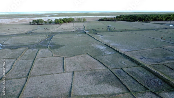 Obraz Drone view of hatiya chairman ghat, nijhum dwip, Bangladesh.