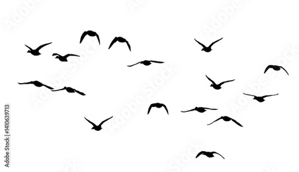 Fototapeta flock of birds silhouette isolated on transparent clear background
