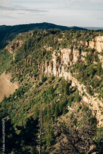 Obraz green mountain