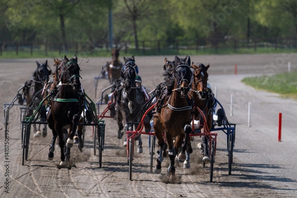 Obraz Modena, Italy – 04 09 2025: Racing horses trots and rider on a track of stadium. Competitions for trotting horse racing. Horses compete in harness racing. Horse runing at the track with rider.
