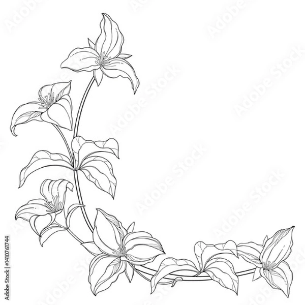 Obraz Corner bouquet of outline Trillium grandiflorum or wakerobin flowers and leaf in black isolated on white background.