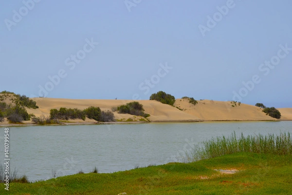 Obraz The Charca de Maspalomas - salt water lagoon located on the edge of the Maspalomas Dunes in Gran Canaria. Best place to see aquatic birds in the Canary Islands