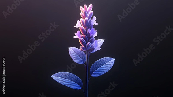 Obraz Glowing Lavender Plant with Vibrant Purple Flowers and Lush Blue Leaves in a Dark Setting for Nature Art