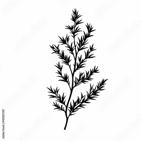 Fototapeta Minimalist Botanical Illustration with Black Silhouette Leaf and Branch for Eco-Friendly Rustic Decor