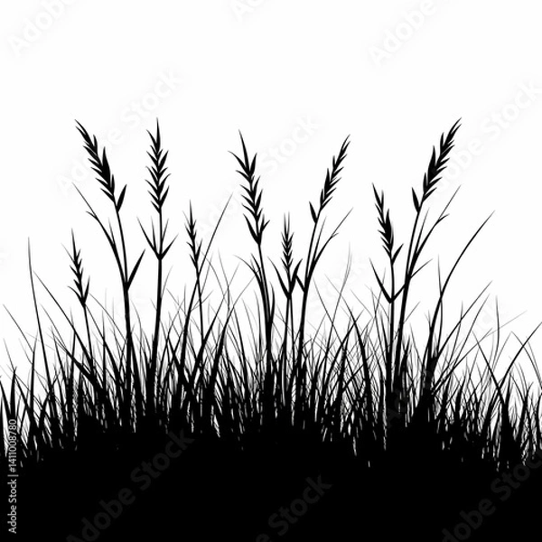 Fototapeta Tall Grass Silhouette in Field - Rustic Wild Nature Background with Organic Plant Textures