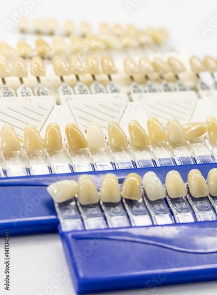 Obraz Organized dental shade guides with alphanumeric labels displaying various tooth colors for precise restorations and treatment planning